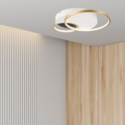 Plafoniera dimmerabile BENITO LED/31W/230V 3000-6500K bianco/oro