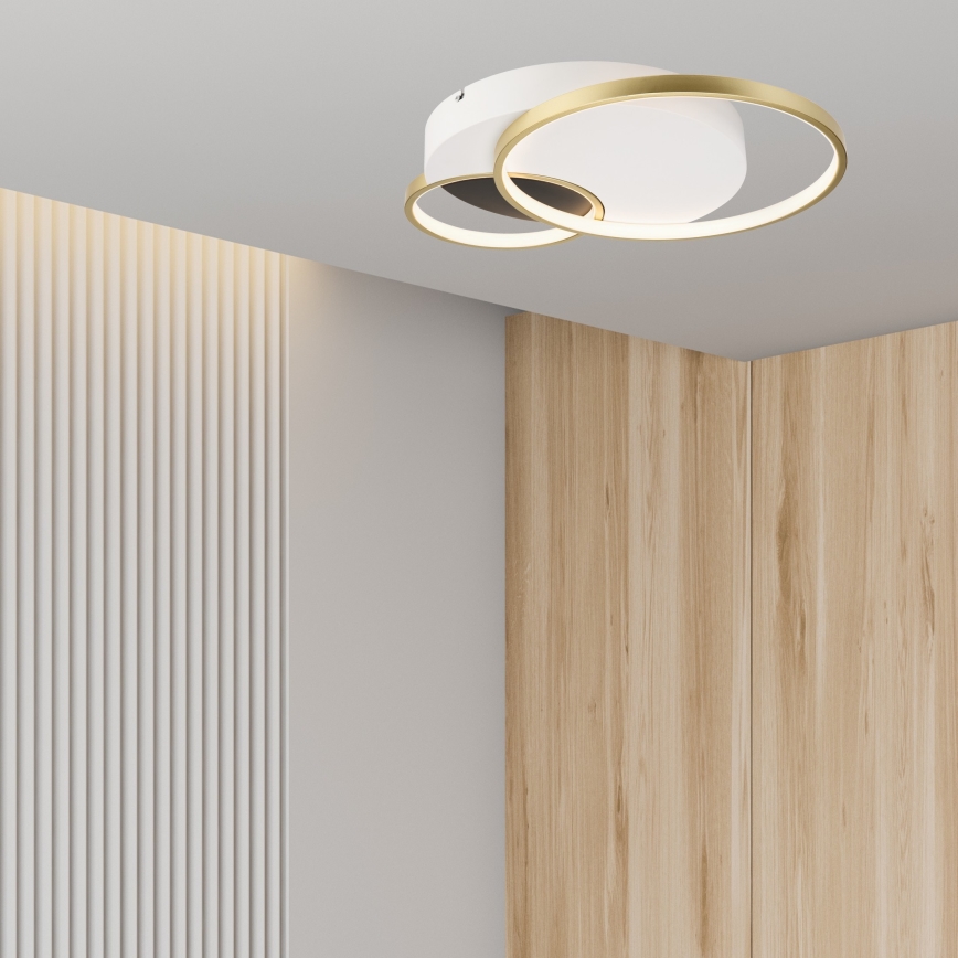 Plafoniera dimmerabile BENITO LED/31W/230V 3000-6500K bianco/oro