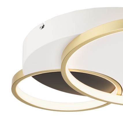 Plafoniera dimmerabile BENITO LED/31W/230V 3000-6500K bianco/oro