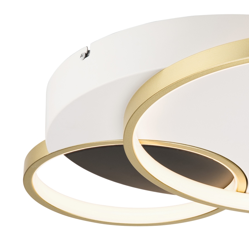 Plafoniera dimmerabile BENITO LED/31W/230V 3000-6500K bianco/oro