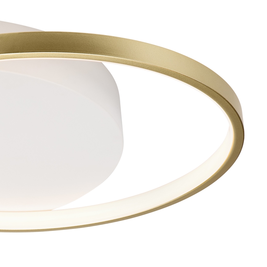 Plafoniera dimmerabile BENITO LED/31W/230V 3000-6500K bianco/oro