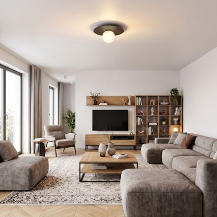 Plafoniera FLAT 1xE27/15W/230V 55x60 cm marrone