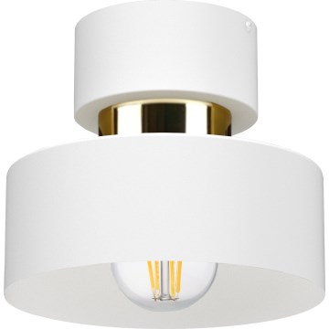 Plafoniera IGNIA 1xE27/60W/230V bianca