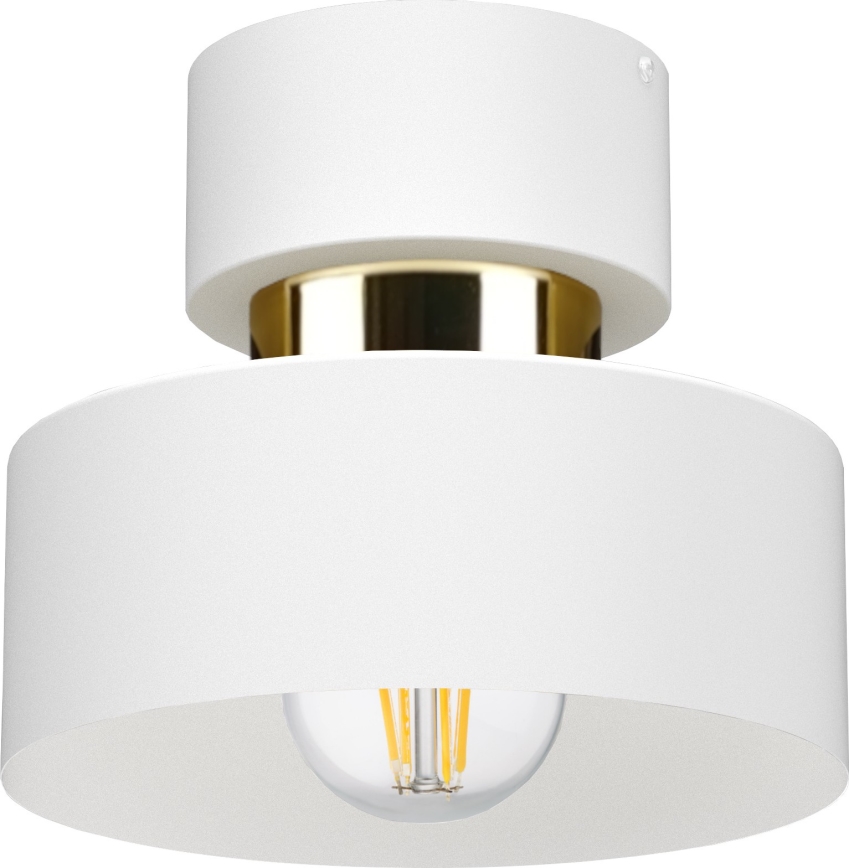 Plafoniera IGNIA 1xE27/60W/230V bianca