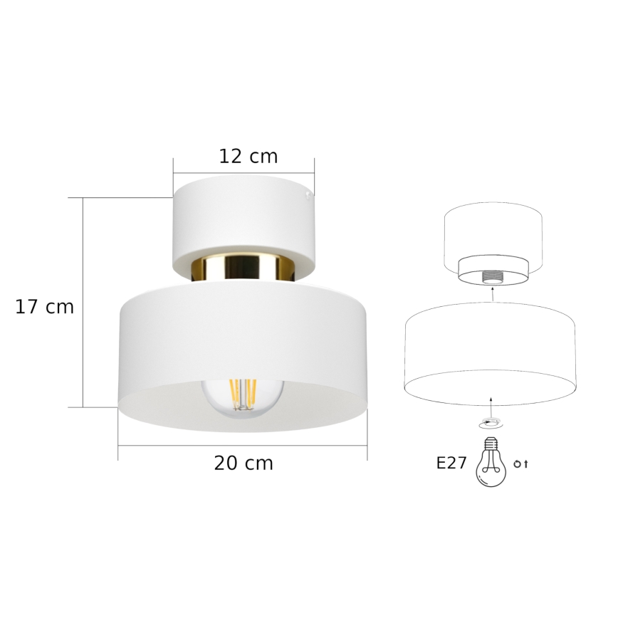 Plafoniera IGNIA 1xE27/60W/230V bianca