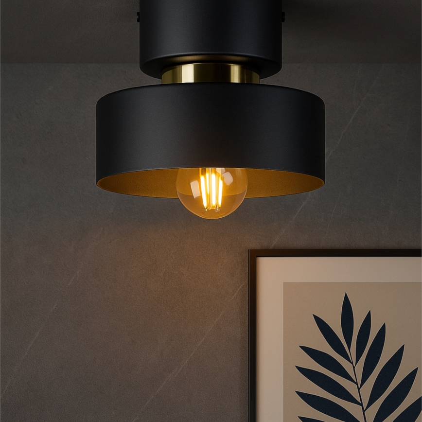 Plafoniera IGNIA 1xE27/60W/230V nera