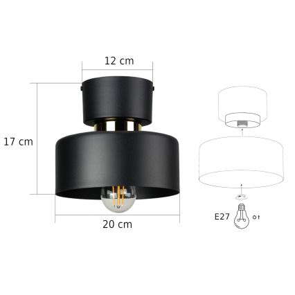 Plafoniera IGNIA 1xE27/60W/230V nera