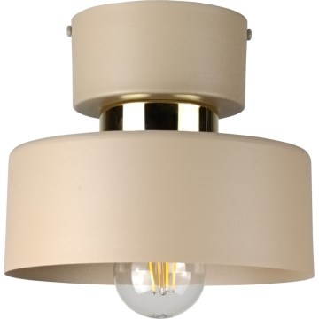 Plafoniera IGNIA 1xE27/60W/230V tortora