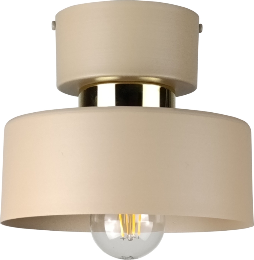 Plafoniera IGNIA 1xE27/60W/230V tortora