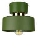 Plafoniera IGNIA 1xE27/60W/230V verde