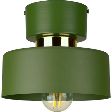 Plafoniera IGNIA 1xE27/60W/230V verde