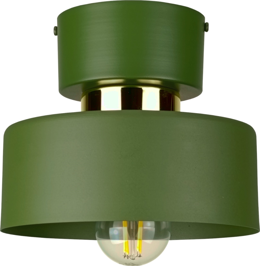 Plafoniera IGNIA 1xE27/60W/230V verde
