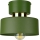Plafoniera IGNIA 1xE27/60W/230V verde