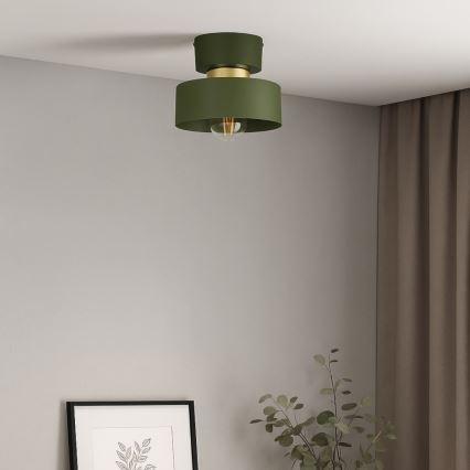 Plafoniera IGNIA 1xE27/60W/230V verde