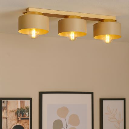 Plafoniera IGNIA 3xE27/60W/230V taupe