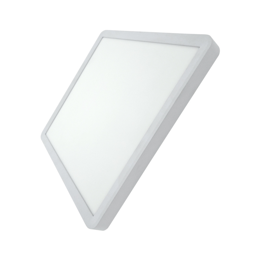 Plafoniera LED/24W/230V 3000/4000/6500K 30x30 cm bianca