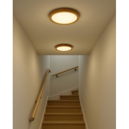 Plafoniera LED/24W/230V 3000/4000/6500K Ø 30 cm beige
