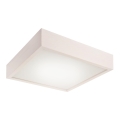 Plafoniera LED/24W/230V