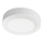 Plafoniera LED 2in1 LED/18W/230V 4500K diametro 22,6 cm bianco