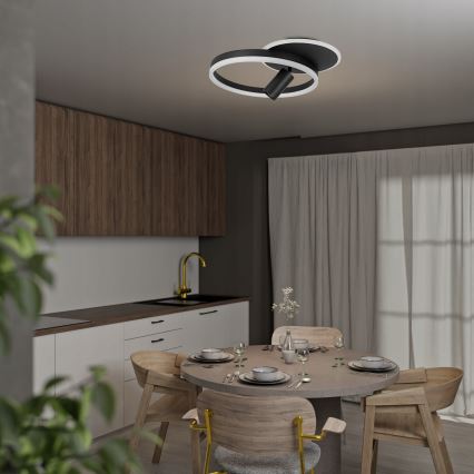 Plafoniera LED 38W/230V + 1xGU10/30W nera