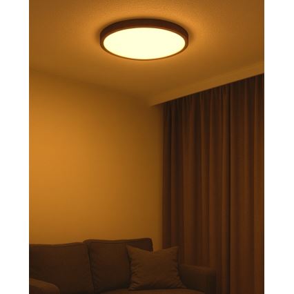 Plafoniera LED 40W/230V 3000/4000/6500K Ø 50 cm marrone