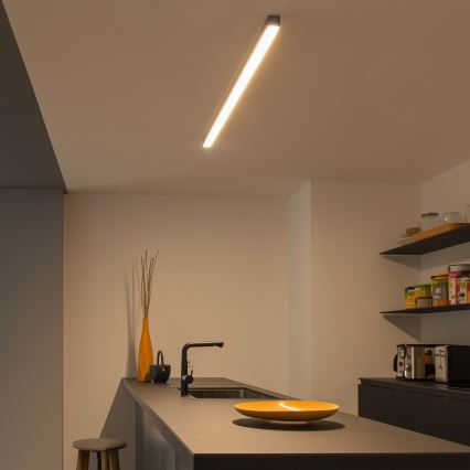 Plafoniera LED ALLDAY BASIC LED/20/30/40W/230V 2700/4000/6000K 120 cm nera