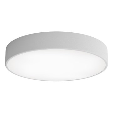 Plafoniera LED CLEO LED/69W/230V 3000K diametro 50 cm grigio