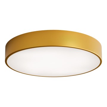 Plafoniera LED CLEO LED/69W/230V 4000K diametro 50 cm oro
