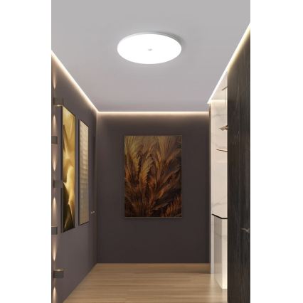Plafoniera LED con sensore crepuscolare e di movimento MORETTI LED/24W/230V Ø 30 cm IP40 6500K