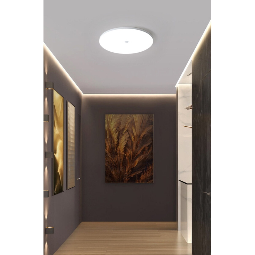 Plafoniera LED con sensore crepuscolare e di movimento MORETTI LED/24W/230V Ø 30 cm IP40 6500K