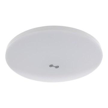 Plafoniera LED con sensore crepuscolare e di movimento MORETTI LED/24W/230V Ø 30 cm IP40 6500K