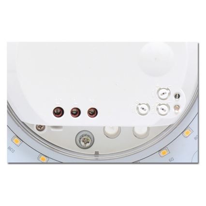 Plafoniera LED con sensore da bagno VICTOR LED/25W/230V IP44