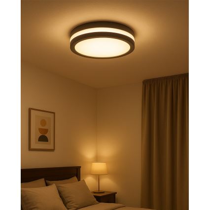 Plafoniera LED per bagno con sensore di movimento, 20W/230V, 3000/4000/6500K, Ø 23 cm, IP54, antracite