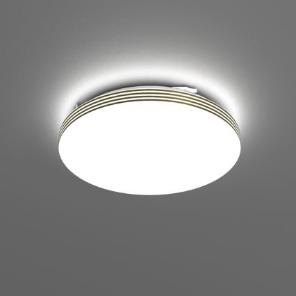 Plafoniera LED da bagno BEVER LED/10W/230V 4000K diametro 26 cm IP44