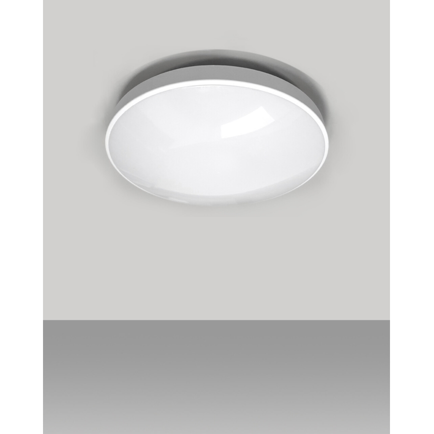 Plafoniera LED da bagno CIRCLE LED/12W/230V 4000K diametro 25 cm IP44 bianco