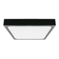Plafoniera LED da bagno con sensore LED/18W/230V 4000K IP44 22,5x22,5 cm nero