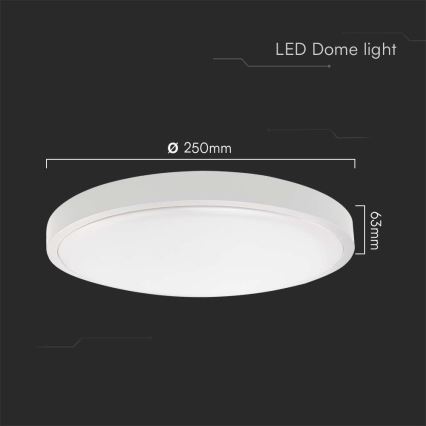 Plafoniera LED da bagno LED/18W/230V 6500K IP44 bianco