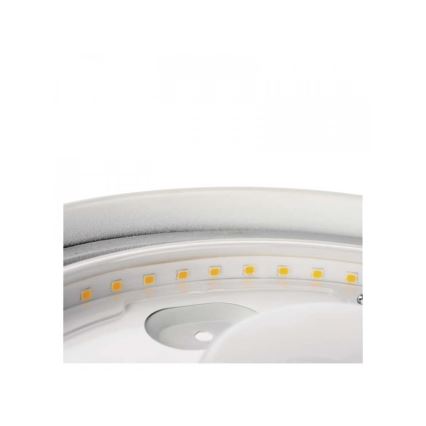 Plafoniera LED da bagno LED/18W/230V IP44