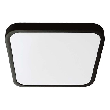 Plafoniera LED da bagno LED/24W/230V 4000K IP44 29,5x29,5 cm nero