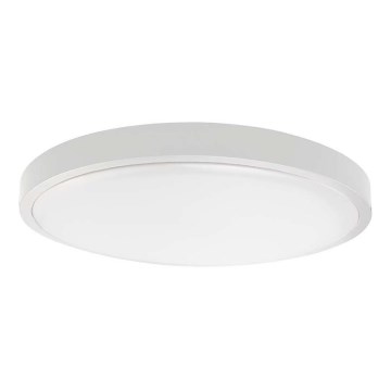 Plafoniera LED da bagno LED/24W/230V 6500K IP44 bianco