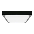 Plafoniera LED da bagno LED/24W/230V 6500K IP44 nero