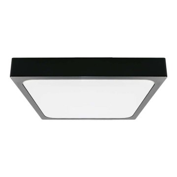 Plafoniera LED da bagno LED/24W/230V 6500K IP44 nero