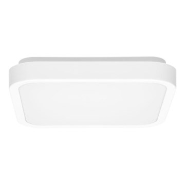 Plafoniera LED da bagno LUKY LED/12W/230V 4000K 25x25 cm IP44 bianco