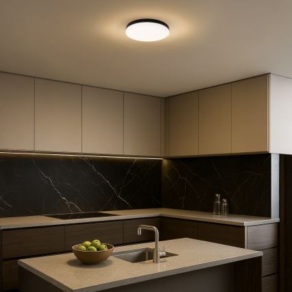 Plafoniera LED da bagno MAYA LED/15W/230V diametro 33 cm IP44 nero