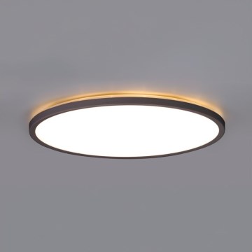 Plafoniera LED da bagno NIVERA LED/12W/230V IP54 3000/4000/6000K diametro 22,5 cm nero