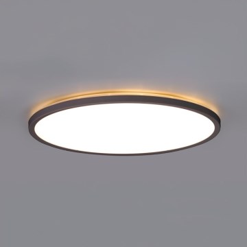 Plafoniera LED da bagno NIVERA LED/18W/230V IP54 3000/4000/6000K diametro 30 cm nero