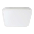 Plafoniera LED da bagno SAMSUNG CHIP LED/18W/230V IP44 3000K 25x25 cm bianco