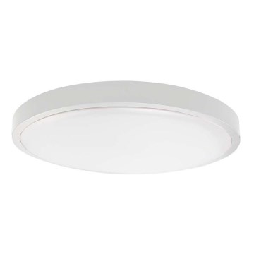 Plafoniera LED da bagno SAMSUNG CHIP LED/24W/230V IP44 4000K diametro 29 cm bianco