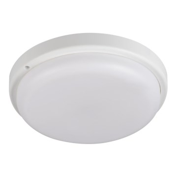 Plafoniera LED da bagno TOLU LED/18W/230V 4000K IP54 bianco