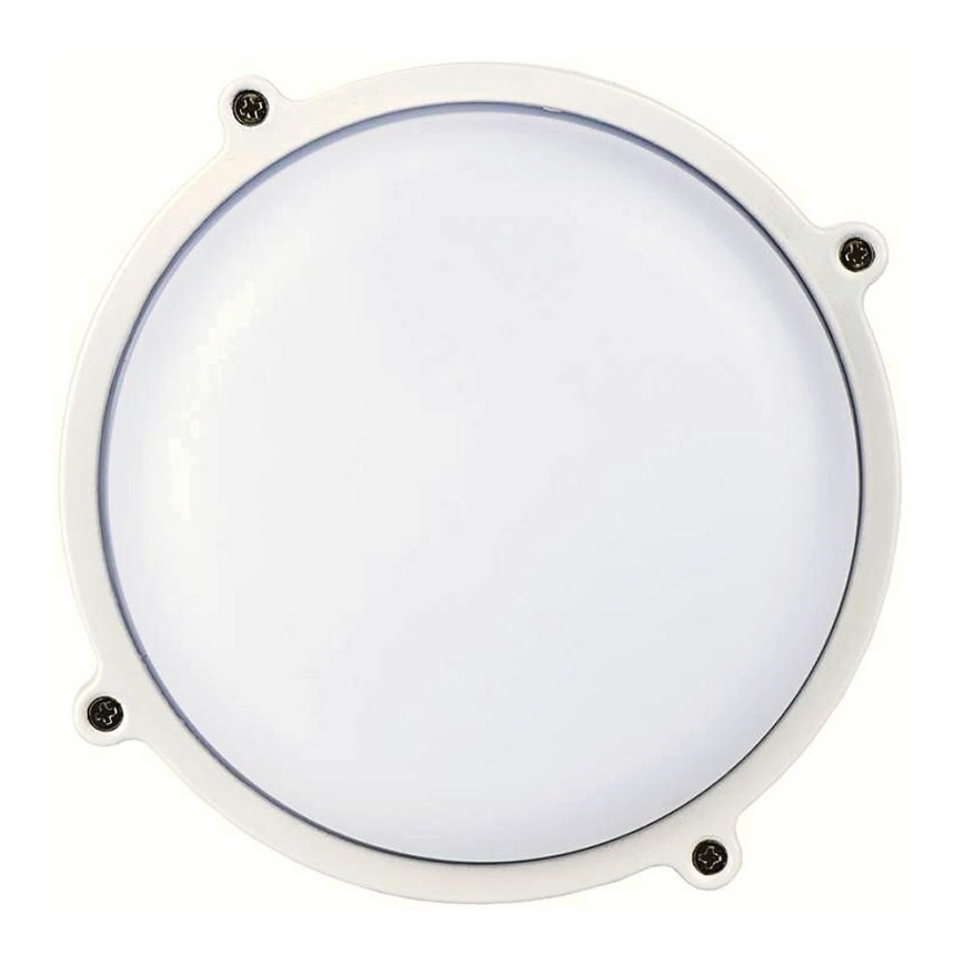 Plafoniera LED da esterno CEILING 1xLED/12W/230V IP65